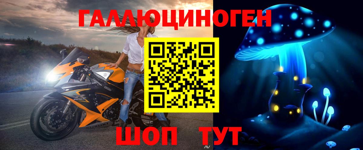 Галлюциногенные грибы Psilocybe Узловая