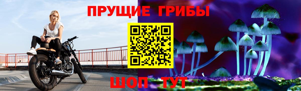 Псилоцибиновые грибы прущие грибы  Вход с VPN  Узловая 